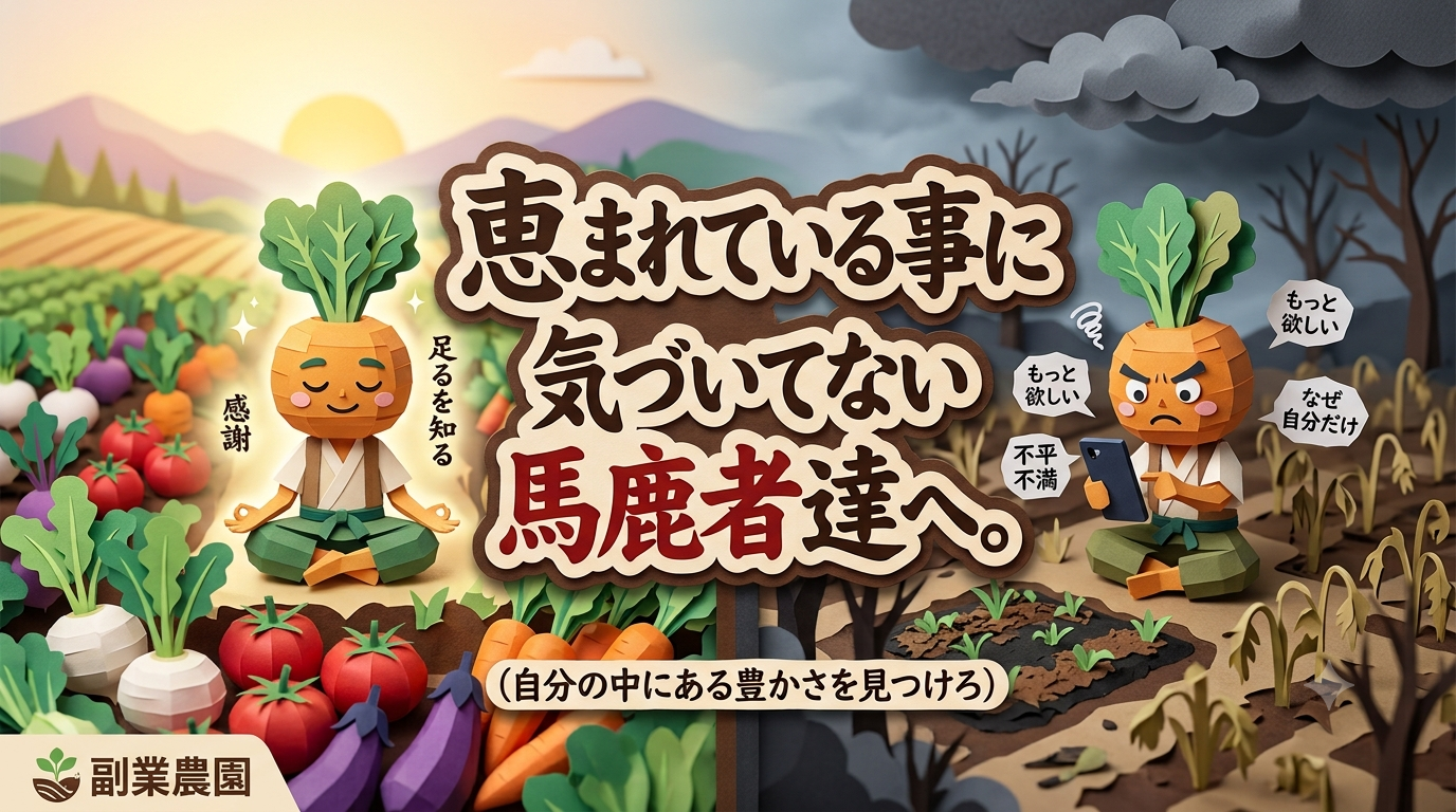 恵まれていることに気づいてない馬鹿者に向けた強い思いを表したアイキャッチ画像